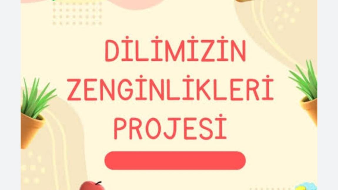 Dilimizin Zenginlikleri Projesi